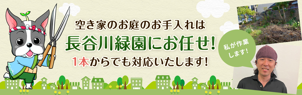 空き家のお庭のお手入れはは長谷川緑園にお任せ！ 1本からでも対応いたします！