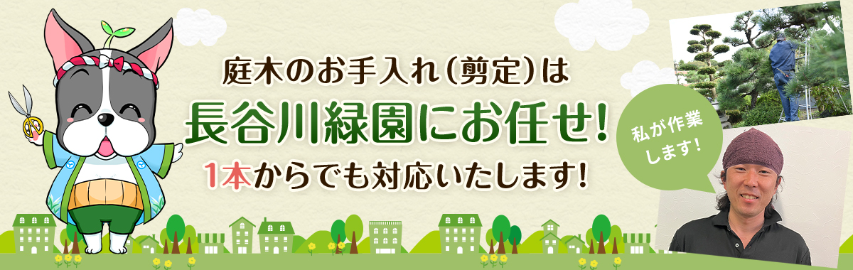 庭木のお手入れ（剪定）は長谷川緑園にお任せ！ 1本からでも対応いたします！